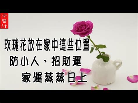 玫瑰花風水